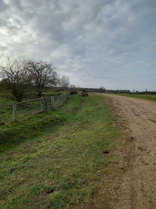 Suffolk View * Tuddenham