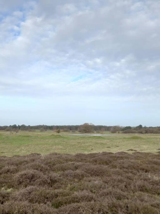 Suffolk View